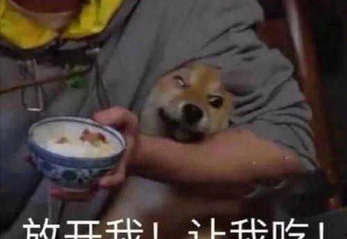 大孝子带你吃瓜