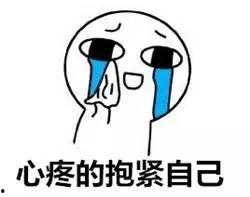 猫猫吃瓜不嫌事大,揭秘宠物界的“八卦达人”