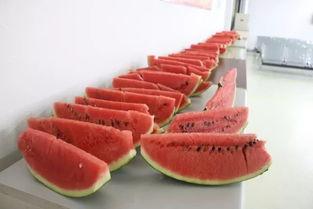 广场吃瓜啥意思,揭秘网络热议背后的真相与趣味