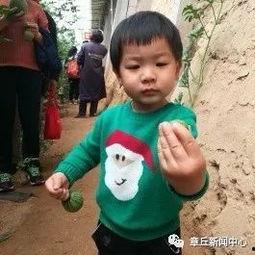 如约俱乐部吃瓜,揭秘吃瓜群众的狂欢盛宴