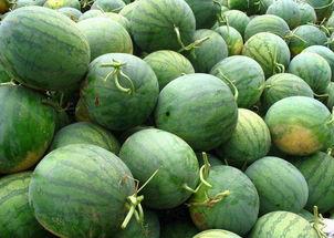 自己吃的瓜甜,品味生活之美