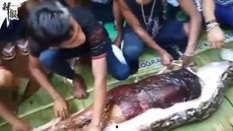 解剖视频吃瓜,瓜果的内部结构与奇妙世界