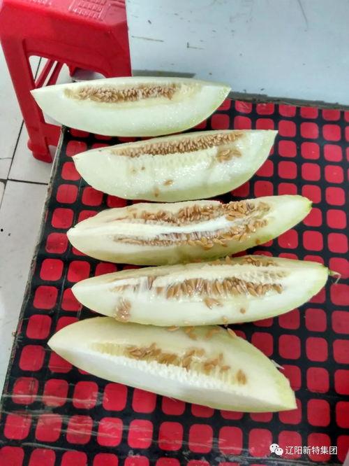 成都带你吃瓜,跟随“带你吃瓜”的脚步，解锁地道风味之旅