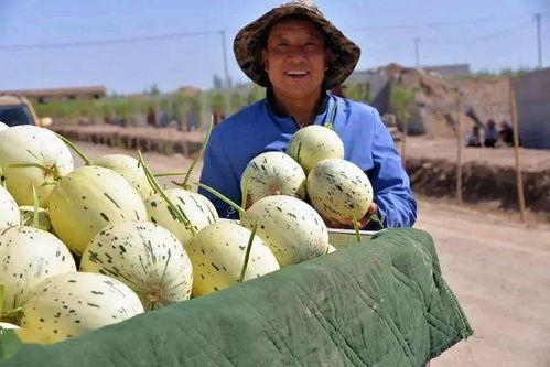 郎溪县吃瓜哥,揭秘农村网络文化的崛起