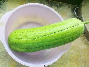 水瓜腹泻可以吃吗,水瓜腹泻期间的饮食建议与适宜食用方法