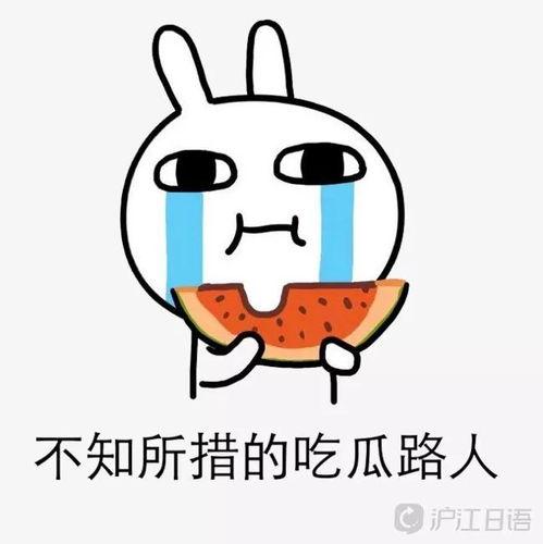 阿福吃瓜,揭秘瓜界奇闻轶事