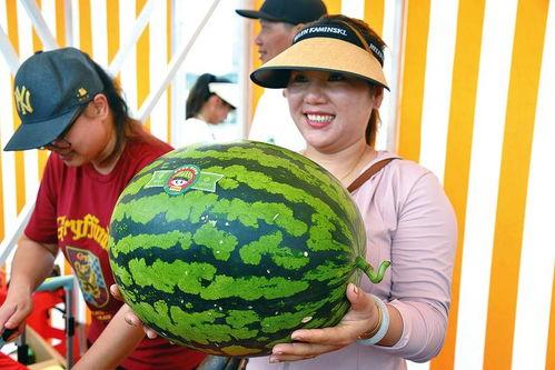 大王吃瓜,揭秘宫廷中的神秘瓜果传奇