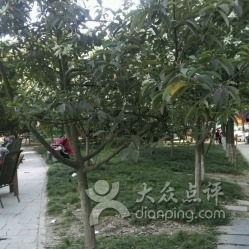 成都沙河公园 吃瓜事件,一场引发热议的公共行为争议