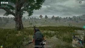 吃瓜吃鸡直播间怎么进