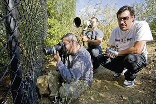 狗仔在线吃瓜,揭秘娱乐圈幕后真相