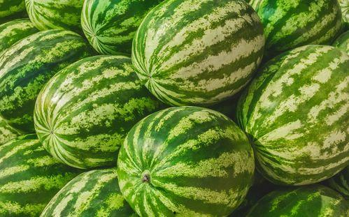 小瓜在哪吃,探寻各地特色小吃