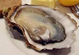 牡蛎和瓜一起吃吗,食用指南解析