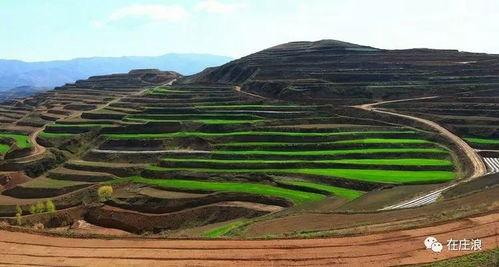 庄浪永宁吃瓜,夏日炎炎，吃瓜群众欢乐多