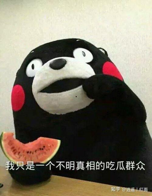 吃瓜行吗,吃瓜群众视角下的娱乐圈风云