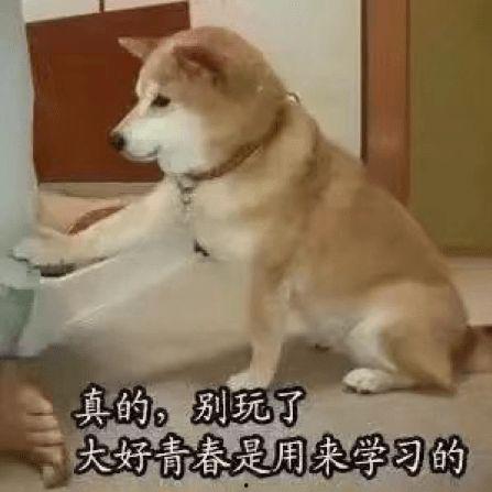 现代狗血吃瓜文,霸道总裁的复仇之路，爱恨情仇，谁主沉浮？